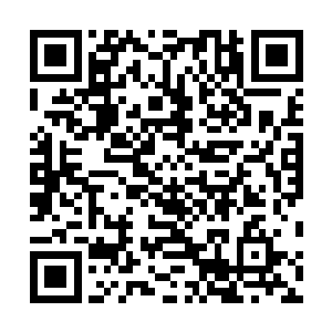 然后一个幻影鱼龙步就来到了丰臣雄二的的就像是风一样二维码生成