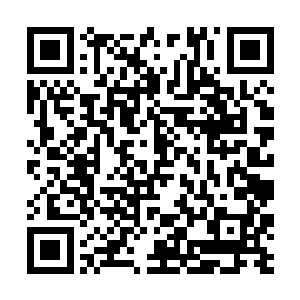 然后一个月后寡妇就被戈尔切克斯基无情的扫地出门二维码生成