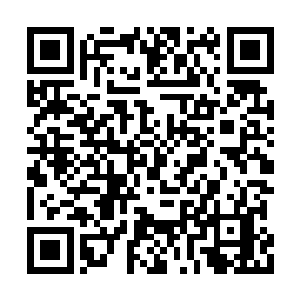 然后一人一兽就站在边上好奇的看着秦宇的动作二维码生成