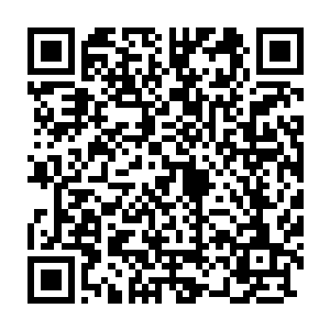 然后一双小手就开始熟练地在枪身上的换弹口和扳机之间上来回拨动着二维码生成