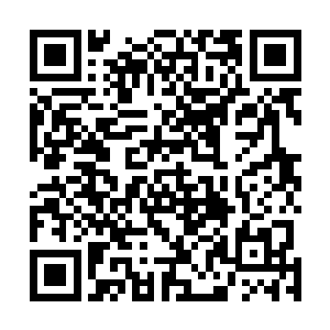 然后一口包裹着舌尖血的唾沫直接吐在了陈老爷子的脸上二维码生成