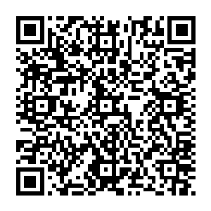 然后一只硕大的脚丫子就直接狠狠地踩在了正好冲到了秦方面前的吞火巨蜥的身躯之上了二维码生成