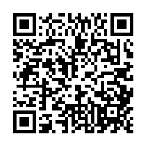 然后一头钻入了秦方他们这一条甬道中的……也就是说二维码生成