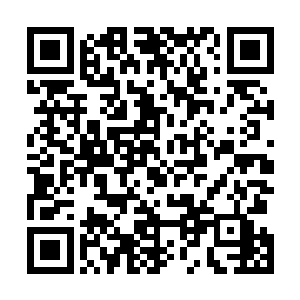 然后一技横扫将十几个纵身扑来的变异蟋蟀直接轰成碎肉二维码生成