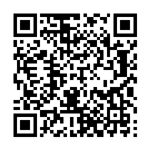 然后一招将其秒杀了……冰龙的那急速飞行中的身躯二维码生成