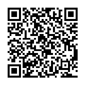 然后一点也不犹豫的上了木萦已经唤出来的紫罗帕上二维码生成