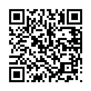 然后一盆兰花便出现在了每一个人的面前二维码生成