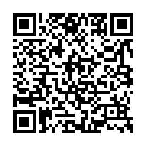 然后一股强大的气息也直接从他的身上散发出来二维码生成