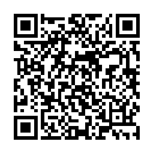 然后一股恐怖的吸力也不断的从下方的黑莲之中传出二维码生成