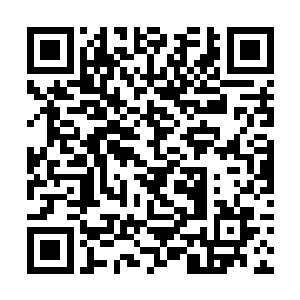 然后一股恐怖的龙威也疯狂的朝着四面八方席卷而去二维码生成