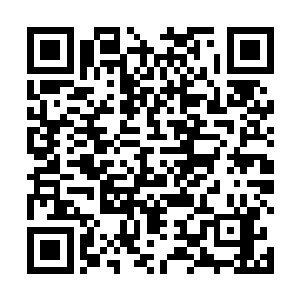 然后一股想要啃食同伴的心情猛地占据了赵虎整个思维二维码生成