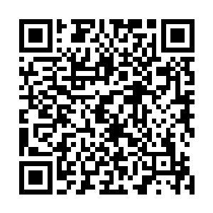 然后一股更为恐怖的狂暴的气息也直接从他的身上散发出来二维码生成