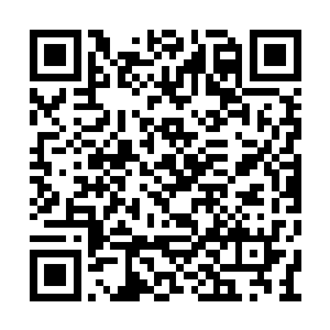 然后一脸憋笑憋得很辛苦的模样看向了暴躁老人二维码生成