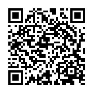 然后一蓝一透明的触手分别卷到了雪如楼的双手上二维码生成