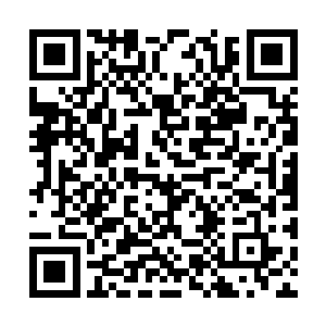然后一行人浩浩荡荡的朝着龙族的族地的方向走去二维码生成