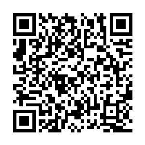 然后一路将附近数十米范围内的变异飞虫焚烧摧毁二维码生成