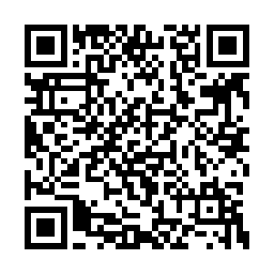 然后一路通过砍树观察年轮的疏密而不断的定位二维码生成