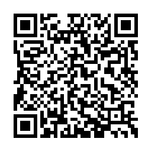 然后一边将左手按在了那琉璃菩提树的树干之上二维码生成