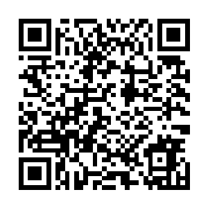 然后一道道恐怖的空间裂缝也开始疯狂的朝着四面八方蔓延二维码生成