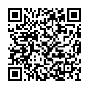 然后一颗颗金黄色的虚空界石如蝗虫般飞向沈凡二维码生成