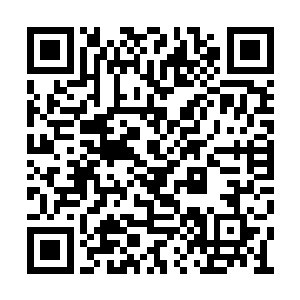 然后上面的客舱在必要的时候也可以出租包机啊二维码生成