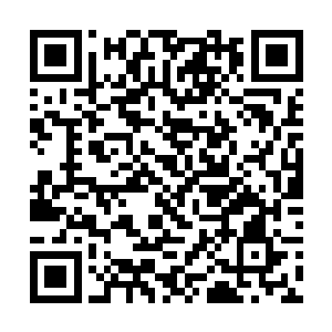 然后下了车小心翼翼地往飞龙网吧门前的垃圾桶走去二维码生成