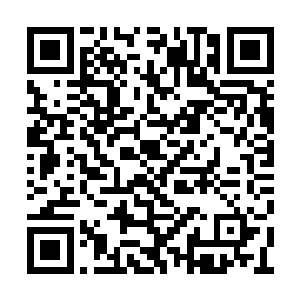 然后下午便乘车赶回了平川县考察团下榻的酒店二维码生成