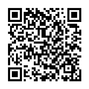 然后不由分说一手拉着流墨墨一手拽着罗怀艳大步向外走去二维码生成