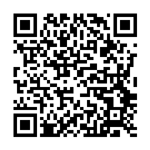 然后两个人的身体瞬间直接化作一道流光朝着远处飞射而去二维码生成