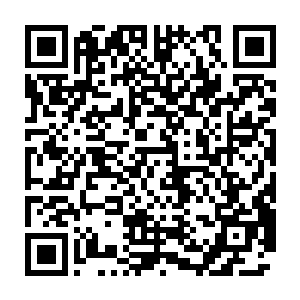 然后严默就看到他身边一个眼熟不得了的光屁股小鬼从他身边游了过去二维码生成