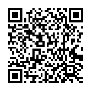 然后举起手里锋利的岩石碎片朝着它的肚子一下狠狠的扎了出去二维码生成