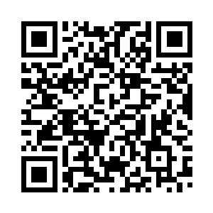 然后乖乖的回到了流墨墨身边呆着二维码生成