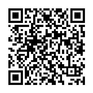 然后争取能够请公冶或者墨即离给自己炼制一些阵柱二维码生成