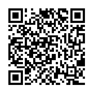 然后从储物袋里取出一面小小的刻着字号的青木令牌二维码生成