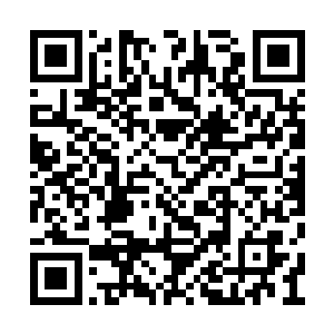 然后从机器的后面举起一个硕大的毛茸茸的拳头二维码生成