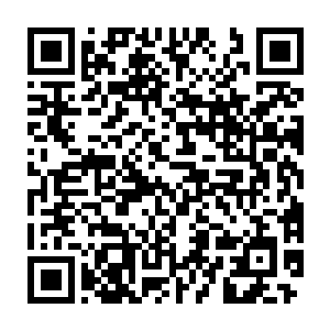 然后从身后已经沾满了尸血的背包里抓出了一把浸过朱砂水的糯米二维码生成