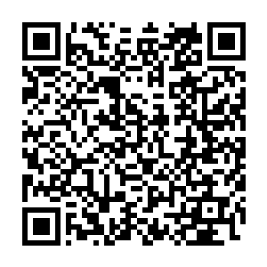 然后从这个时候通过多个角色的视角切换然玩家看到夜明队伍的全貌二维码生成