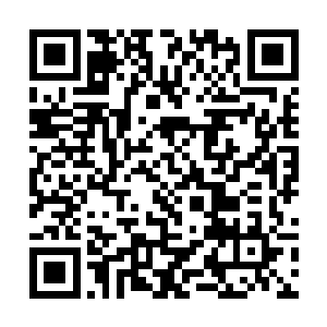 然后从里面居然跳出来了一只看起来很像蚱蜢的昆虫二维码生成