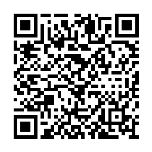 然后仔细分辨楚之晓残留在空气中的脑电波痕迹二维码生成