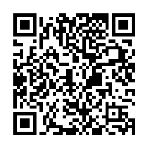 然后他一把抱住妮娜用脸蹭上了她那身又软又香的毛上二维码生成