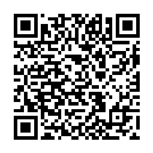 然后他便发了疯一般地朝那两道划空而来的长虹飞去二维码生成