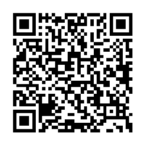 然后他就对着万树武神行了三拜九叩的拜师大礼二维码生成