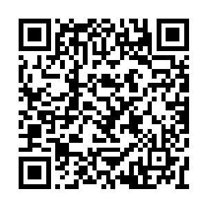 然后他就看到了几只小牛犊一样的警犬蹿了上来二维码生成