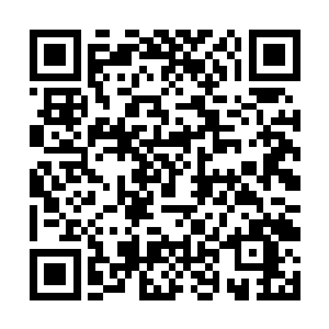 然后他就看到了正在独角龙兽圈旁边的西格玛和石头二维码生成