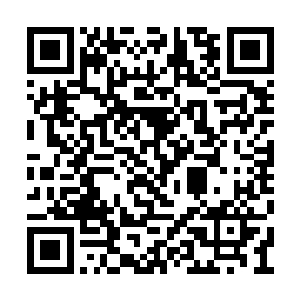 然后他带着剩下的人开始在山谷中寻找赤阳原石二维码生成