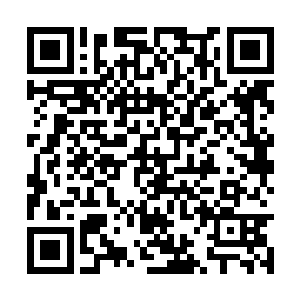 然后他手中那支大口径柯尔特随时可能会擦枪走火二维码生成