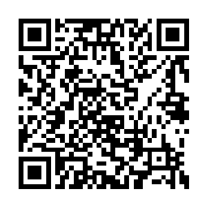 然后他抱着小乖直接从死翼骑士的背上跳了下来二维码生成