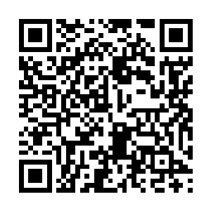 然后他的传奇精灵战铠上就有淡绿色光焰燃烧而起二维码生成