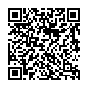 然后他看着崔老在一个看似陈旧的暗门上输入了繁复的密码二维码生成
