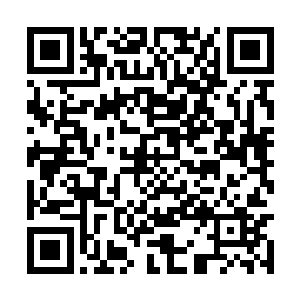 然后以墨家剑法借力打力的精髓之式将其搅了起来二维码生成